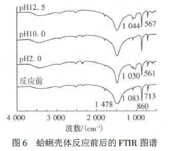 圖6 蛤蜊殼體反應前后的FTIR 圖譜